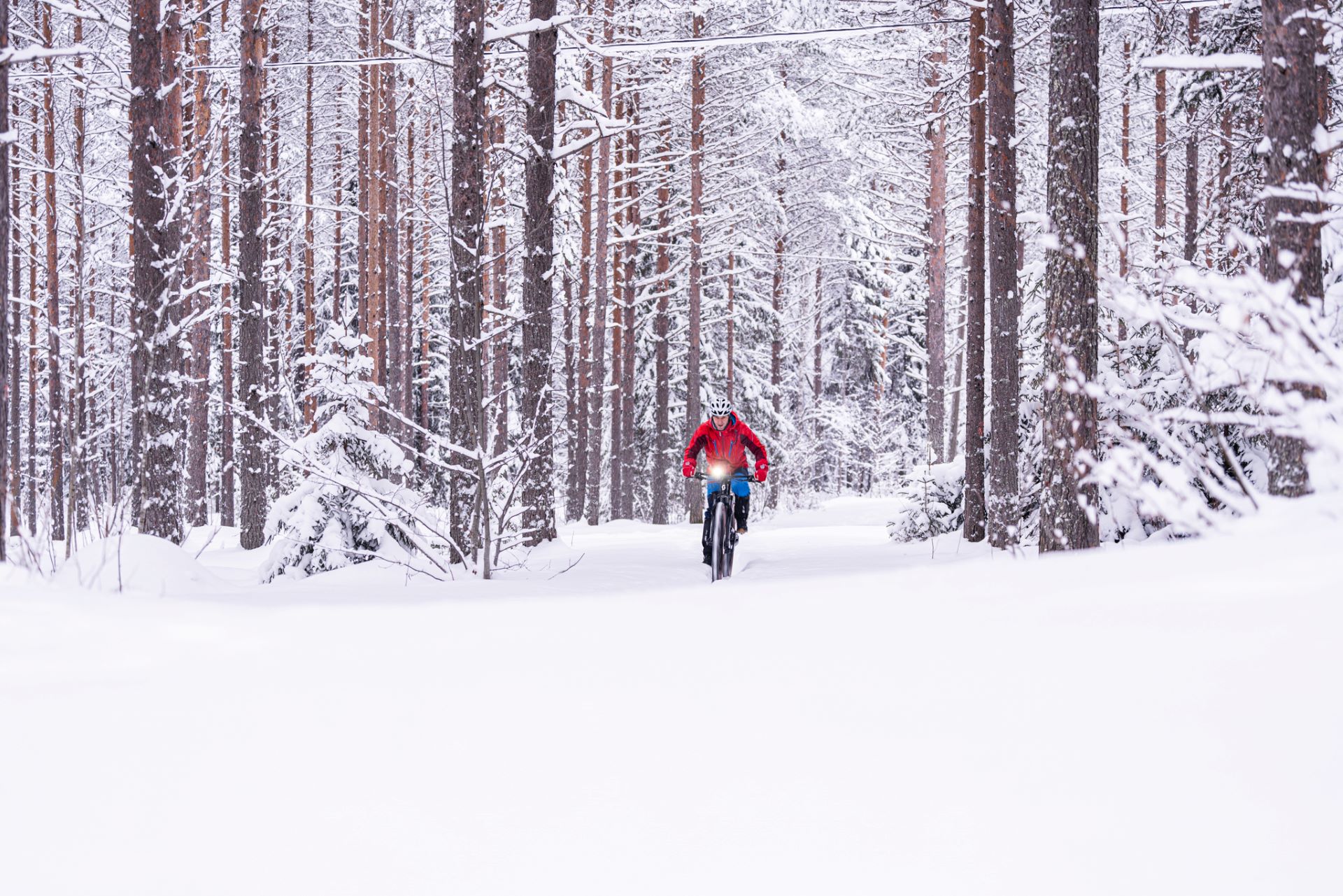 Pyöräilijä talvisessa metsässä