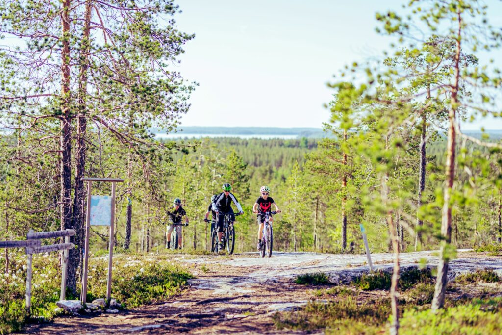 Mountain bikers are riding in a forest