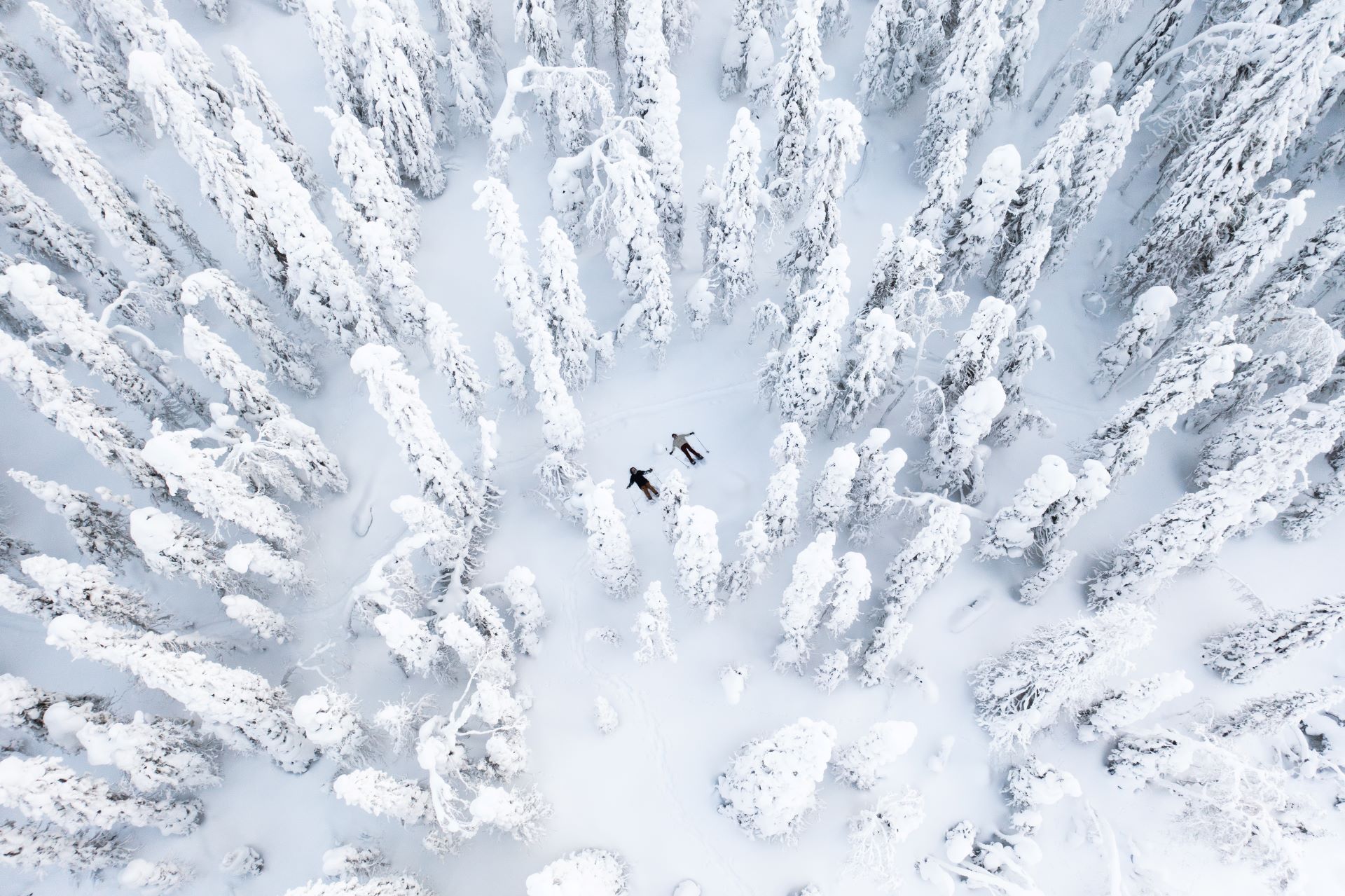 Aerial photo of a snow covered forest. There are two people snowshoeing in the middle of the forest.